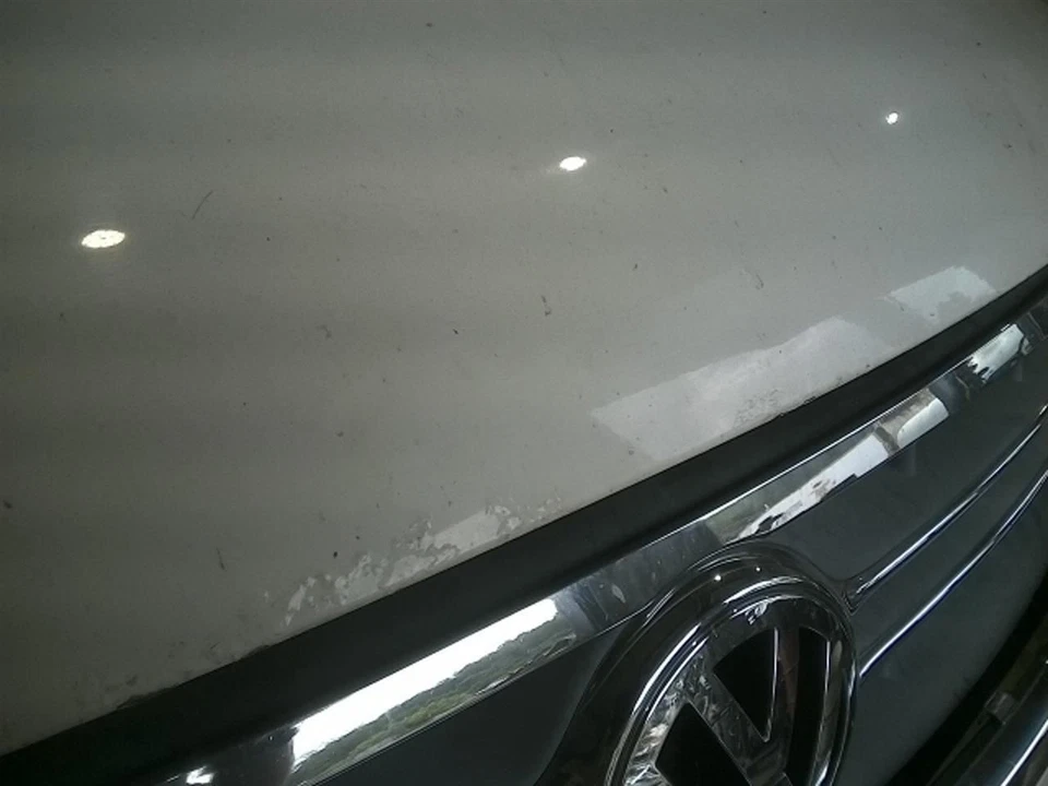 Hood Fits 09-14 ROUTAN 119916 - Image 4 of 4