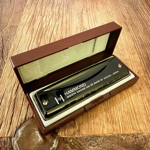 Hammond HA-20 Mouth Organ Key Of A Harmonica By Suzuki W/Case
