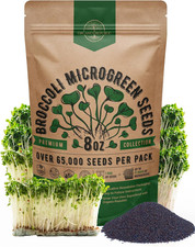 Broccoli Sprouting Microgreens Seeds - 65,000 Non-GMO Heirloom Seeds