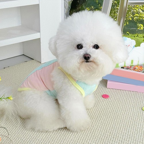Pet Dog Cooling Vest T Shirt Sunscreen Dog Clothes Thin Casual Reflective Mesh - Picture 13 of 19