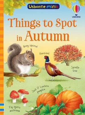 THINGS TO SPOT IN AUTUMN by SIMON TUDHOPE Paperback Self Help Business