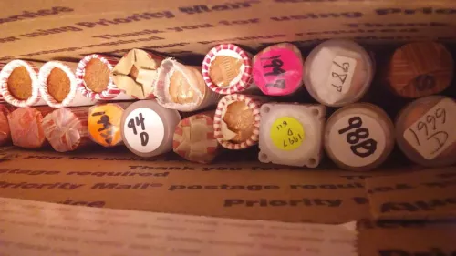 Twenty UN-circulated roll box of Lincoln Memorial Cents. 1990-P to 1999-D.