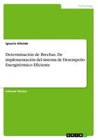 Ignacio Allende | DeterminacióN De Brechas. De ImplementacióN Del Sistema De...