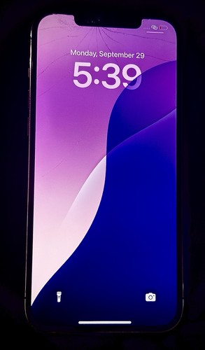 Apple iPhone 12 Pro Max 256GB Oro Sbloccato - Foto 1 di 3