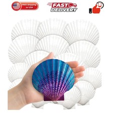 18PCS Large Natural Scallop Shells,2''-3'' 4''-5'' White Seashells Bulk for C...