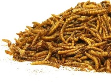 1kg DRIED MEALWORMS 1kg PREMIUM WILD BIRD FOOD  BY JOHNSON & JEFF FREE POST