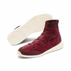 puma evo cat ferrari