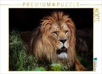 Calvendo Puzzle Barbary Lion | 1000 Pieces, Finished Size 25.2 × 18.9 In (64 × 4