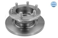 2Er Set Bremsscheiben Meyle 215 521 0009 Iveco 1908772 42470842 9382 1867