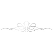 Vinyl Pinstripe Decal -many Sizes And Colors To Choose From- Free Us Shipping Vinyl Pinstripe Decal -many Sizes And Colors To Choose From- Free Us Shipping