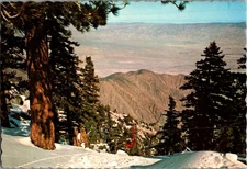 Vintage Palm Springs Aerial Tramway Postcard