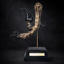 Velociraptor foot Fossil Replica – Raptor Claw Museum-Quality Fossil.