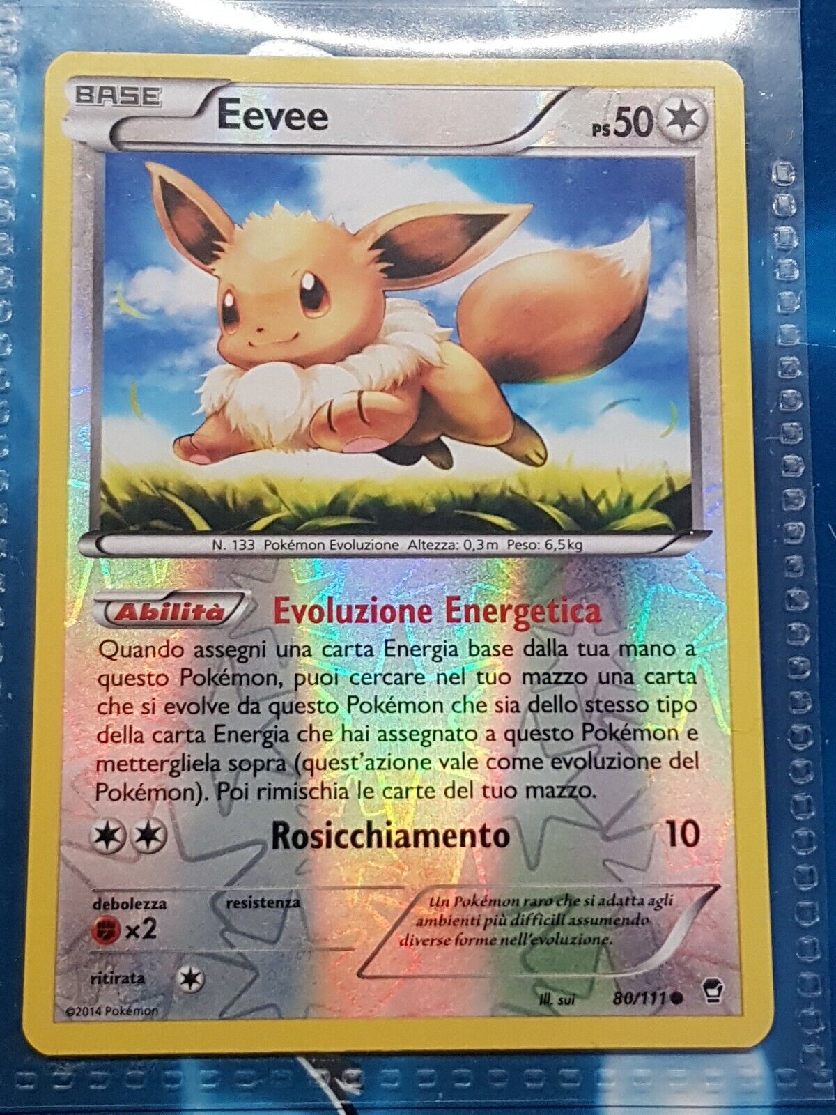 Como Saber Quanto Valem suas Cartas de Pokémon: 10 Passos