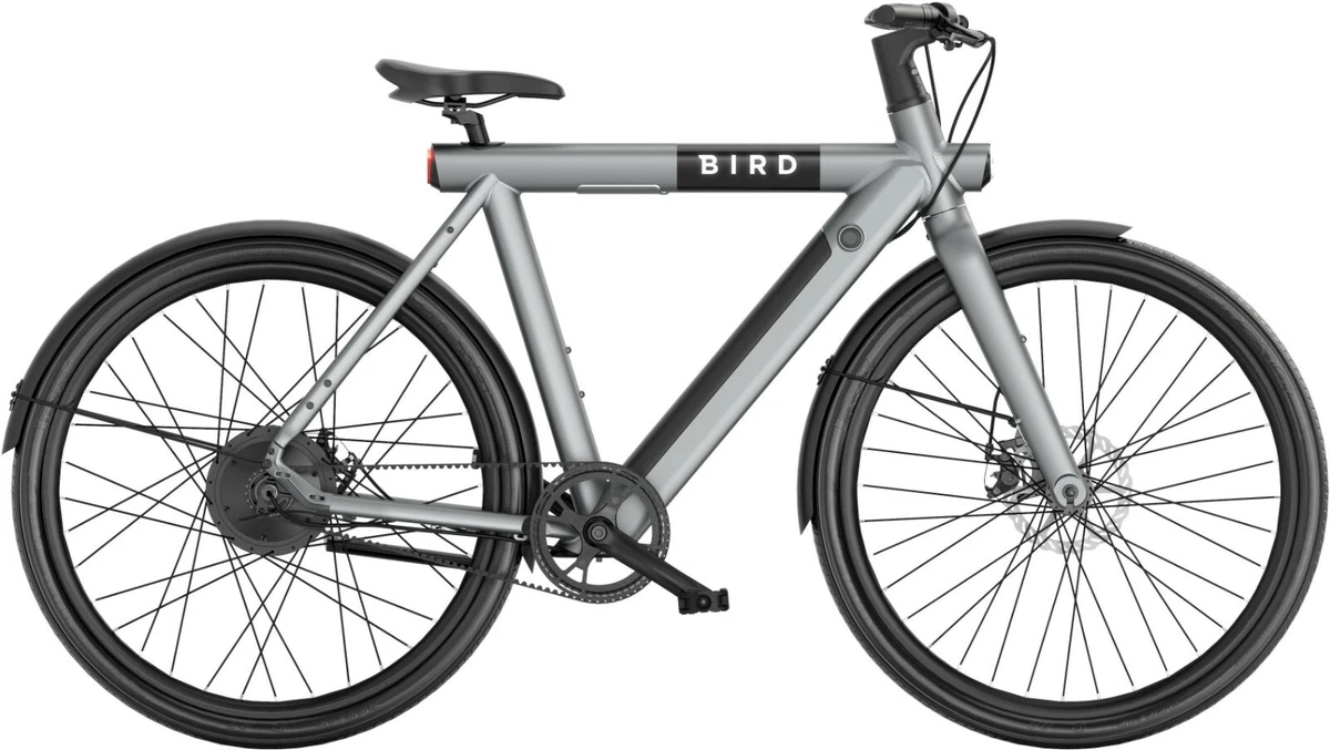 Men Women Bird Bike 500 Watt A Frame Electric E bike App Control