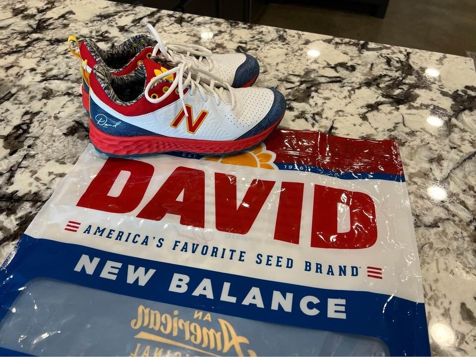 New Balance David Sunflower Seeds Shoes Women’s size… Gem