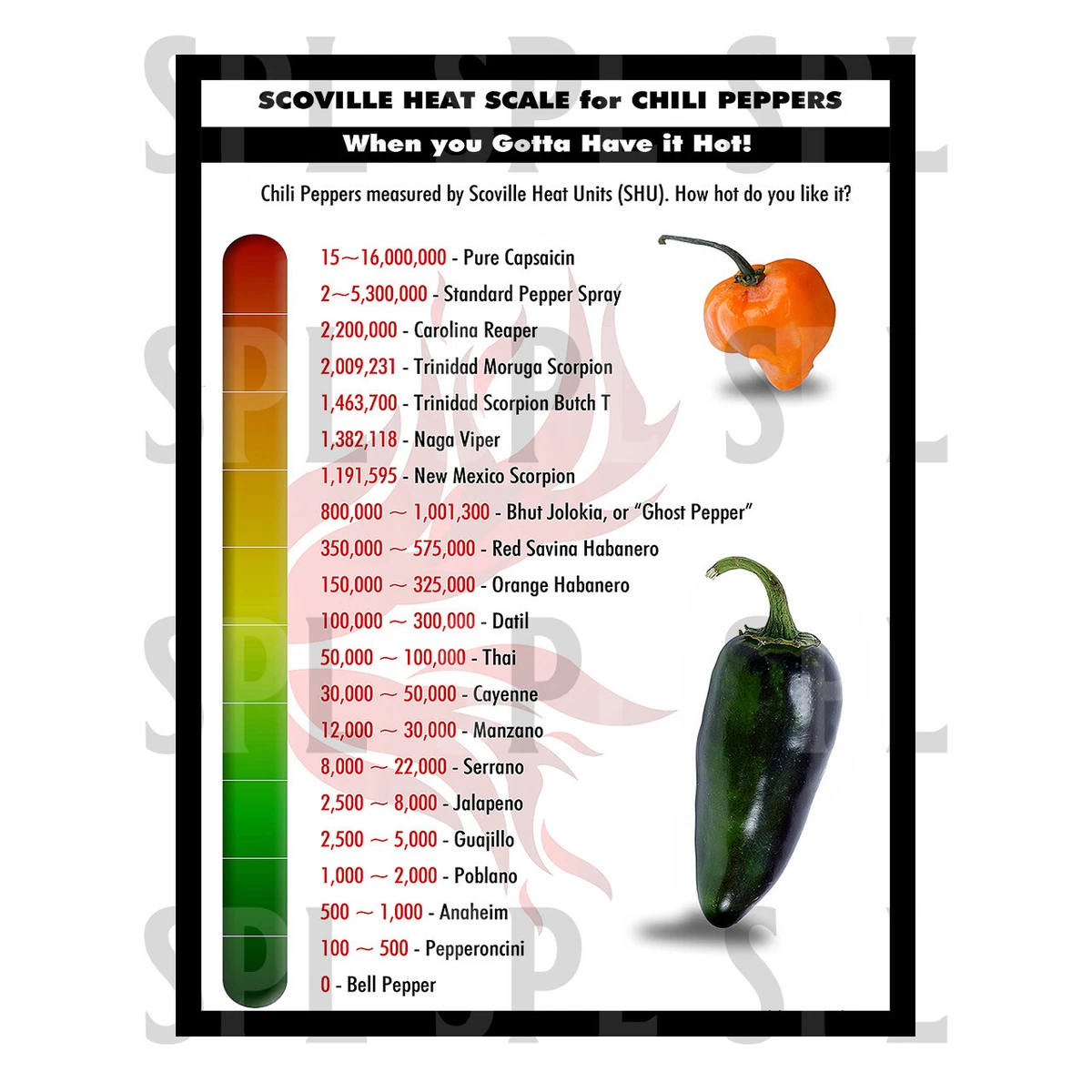 Chilli scoville cheap scale
