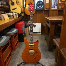 PRS SE custom Safe Packing!