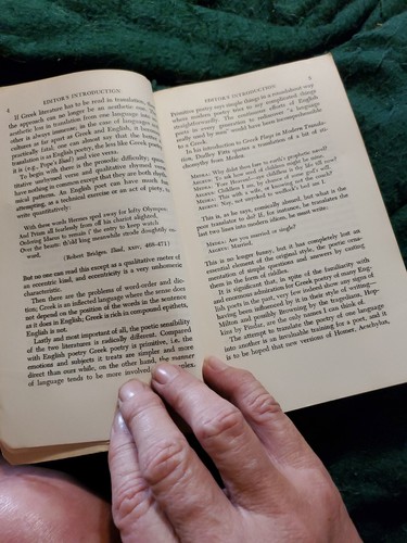 Der griechische Leser von W. H. Auden (1955 Softcover) - Bild 13 von 22