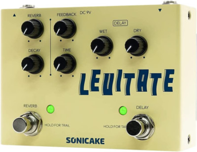 Delay Reverb 2 in 1 Guitar Effects Pedal Digital Levitate
