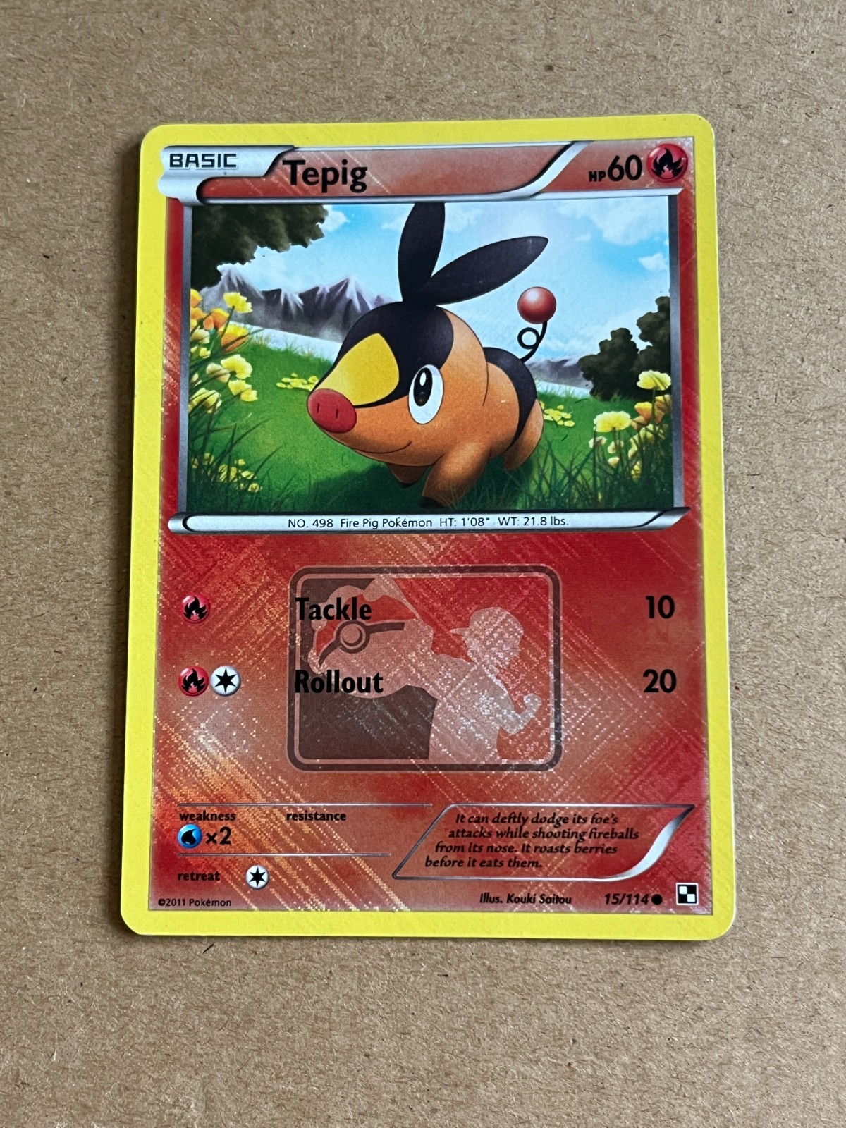 Tepig (15/114) Black & White - Promo - 2011 - Foil - NM Pokemon TCG