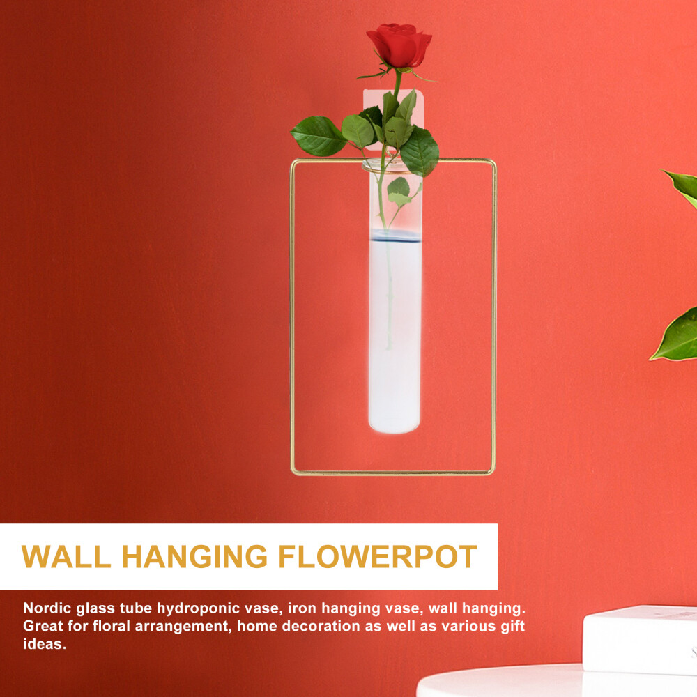 2 Pcs Iron Vase Glass Test Tube Planter Hanging Flower Pots eBay