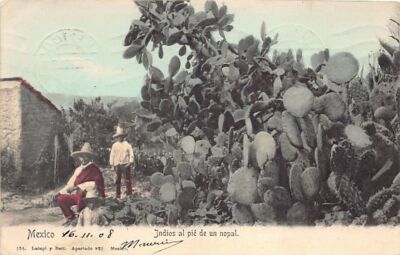 México - Indios al pié de un nopal - Ed. Latapi y Bert 124
