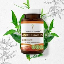 Secrets Of The Tribe Andrographis Capsules, 400 mg