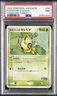 Pokepark'S Celebi