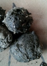 Owl pellets medium-sized , Lot of 25