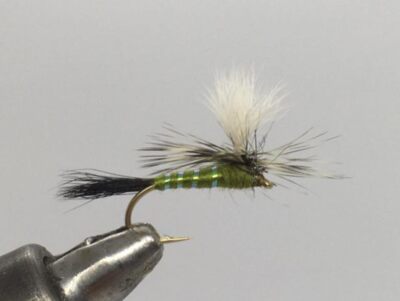 One Dozen (12) Green Drake Wulff, Dry Fly- Strike Fly Company