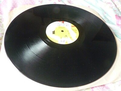 Ossie D & Stevie G reggae 12'' Put A Little Love In Your Heart plays VG+/VG Penth