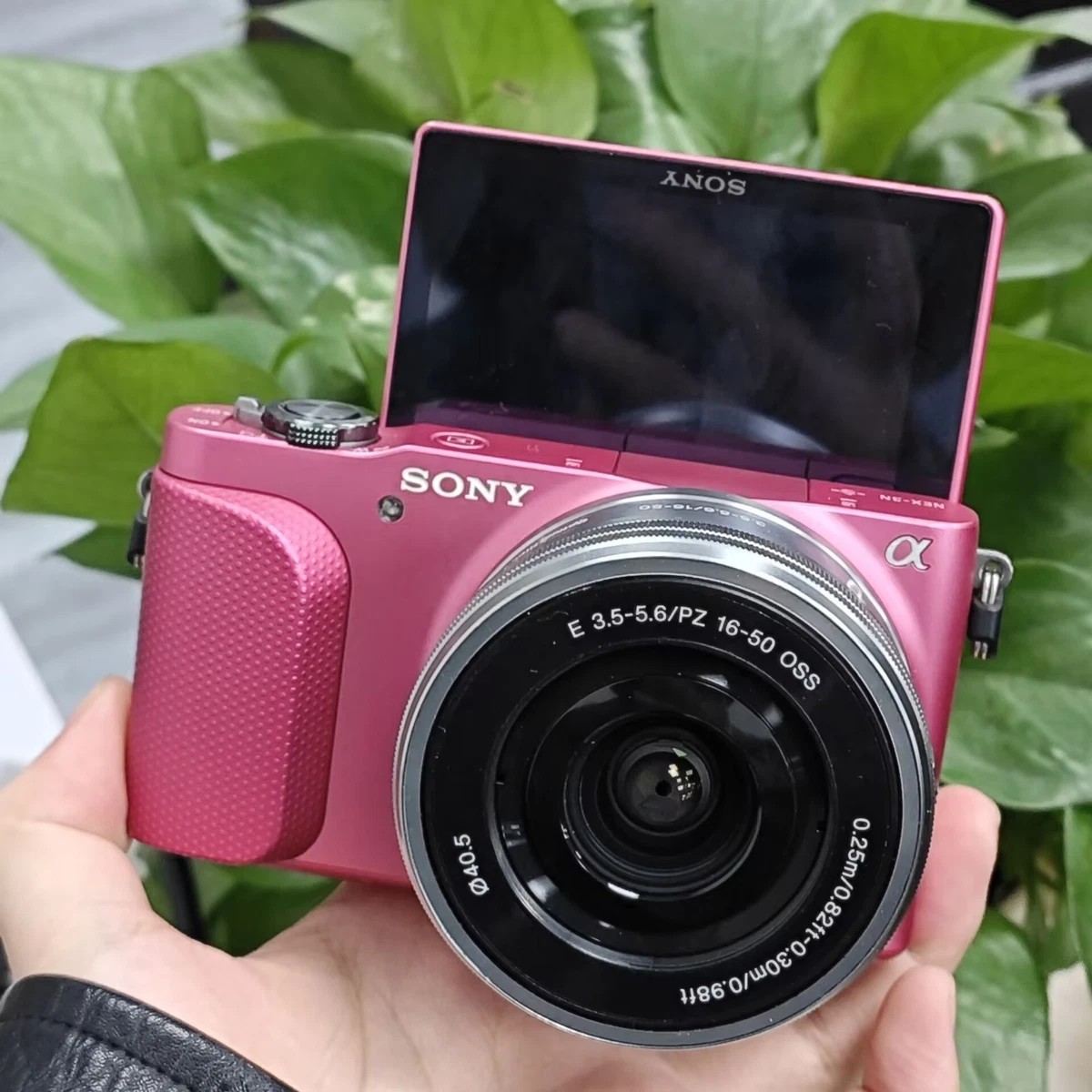 Sony Alpha Nex-3N Digital Cameras for Sale | Shop New & Used