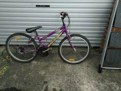 gumtree ladies mountain bike