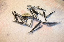 130-1 1/8"-crappie panfish-fishing minnows-grubs-lures-jigs-split tails-flukes
