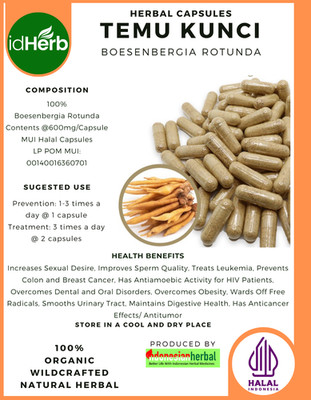 [idHerb] 100-800 Kapseln Fingerwurzel Boesenbergia Rotunde Bio Wildgefertigt
