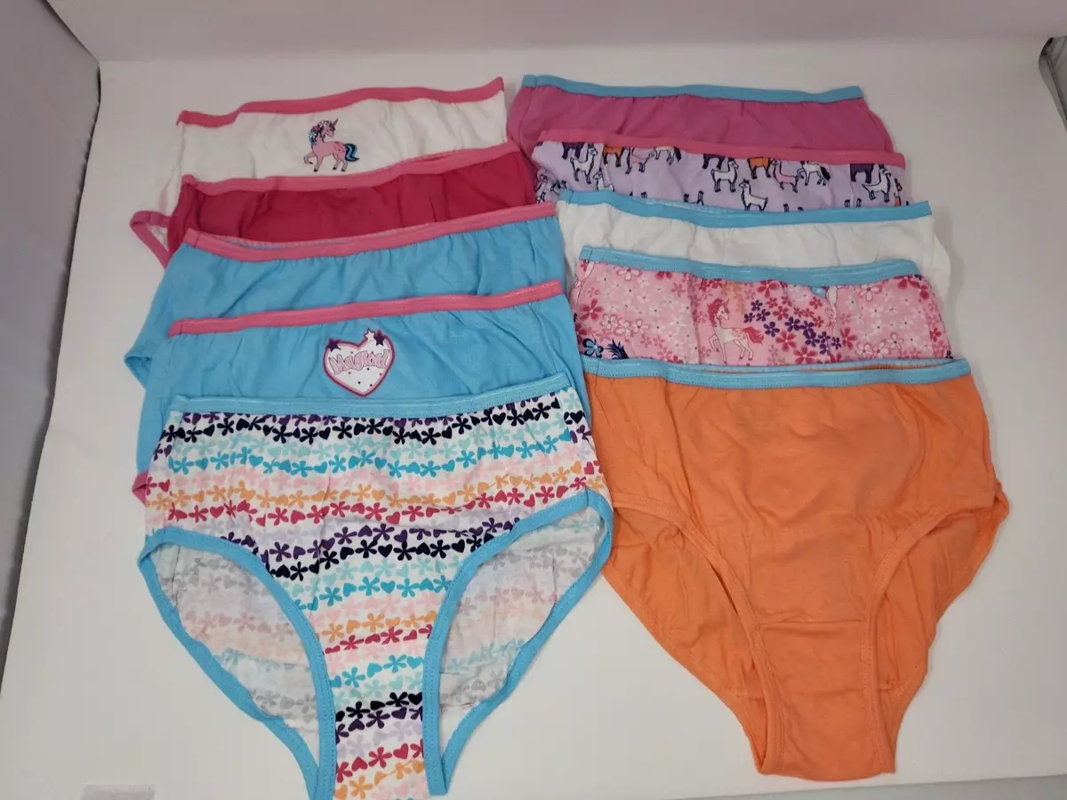 Girl's Hanes Panty Underwear Size 12 Magical Colors Unicorns Llama