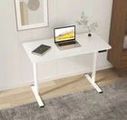 Electric Standing Desk 120x60cm Height Adjustable Sit Stand Desk White 4 Memory 