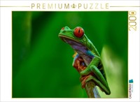 Calvendo Puzzle Costa Rica - Red-Eyed Tree Frog | 2000 Pieces, Finished Size 35.