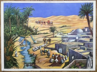 🌵 Ancienne affiche scolaire Rossignol, 1950 - 43 L'oasis, désert 44 Rizière - Photo 1/4