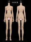 1/4 BJD Doll DollShe DS Girl Body - Only Body (No head)