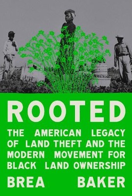 Brea Baker Rooted (Hardback)