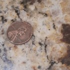 1945 Lincoln Wheat Penny  Copper BN KM#201 — photo 2