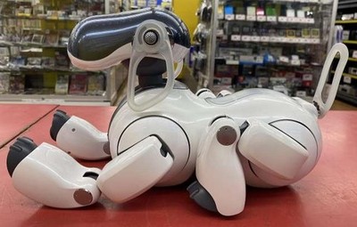 Sony aibo ERS-7M3 Entertainment Robot Dog w/Box Tested Japan | eBay