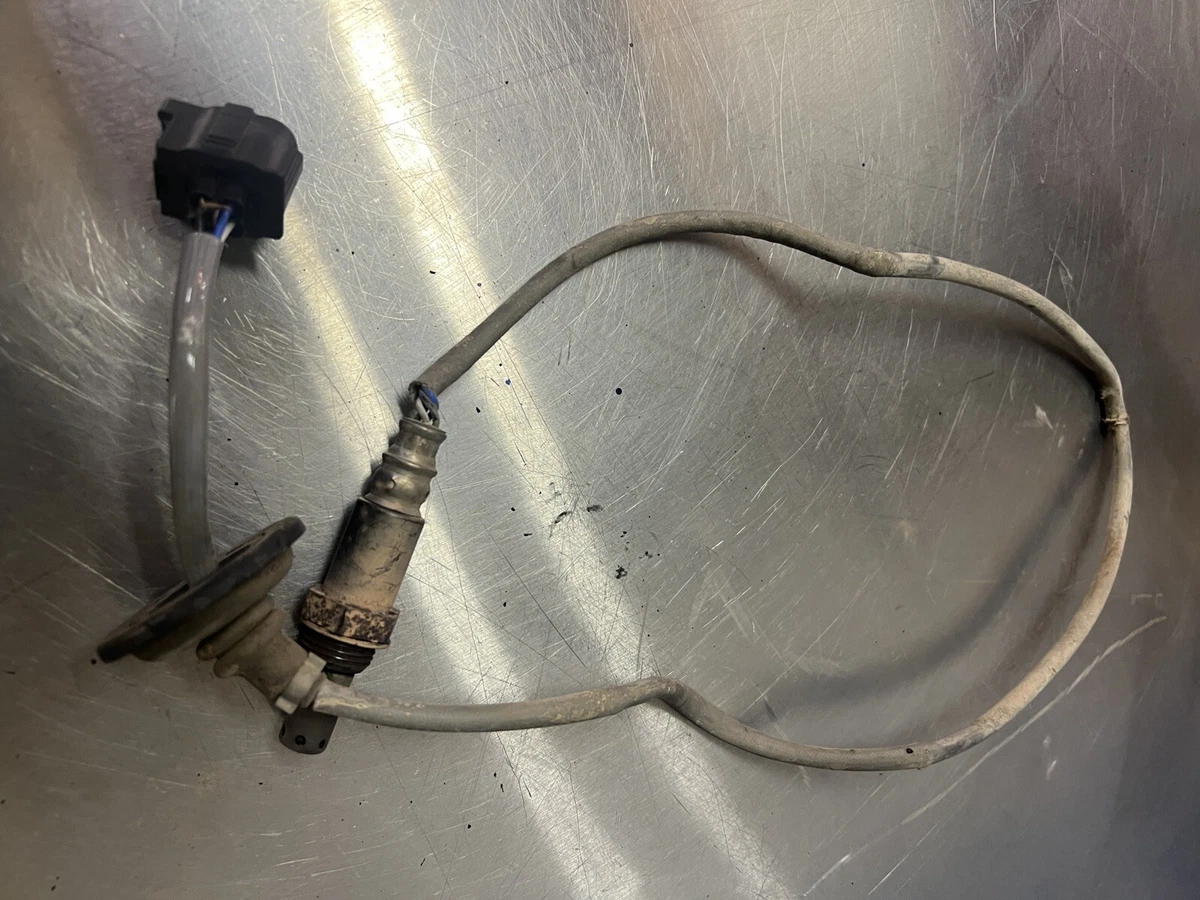 O2 Sensor Location And Importance Ford Focus ST Forum, 44 OFF