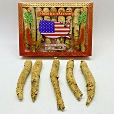 4oz American Ginseng Extra Large Long Root Ginseng Root w/Box           