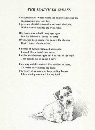 Sealyham Terrier Dog Illustration, Print and Poem - CUSTOM MATTED - 1947 Dennis