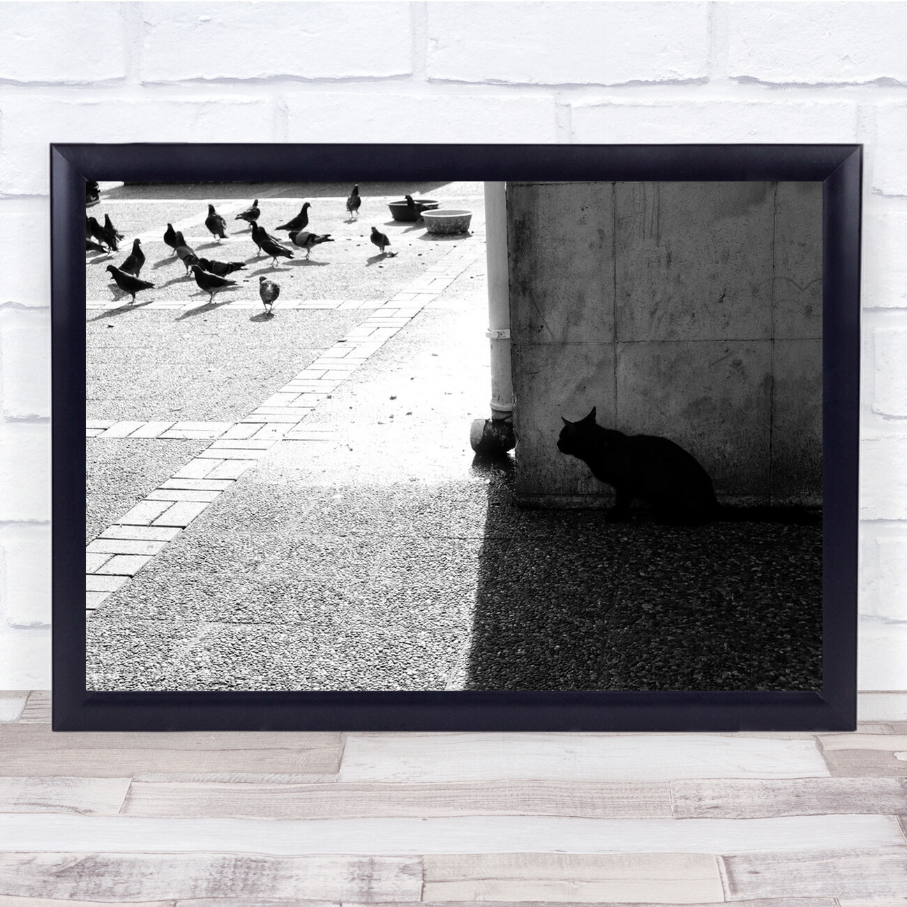 Cat Pet Animal Doves Street Birds Wall Art Print