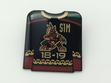 2018-19 Arizona Coyotes Season Ticket Member (STM) Lapel Pin