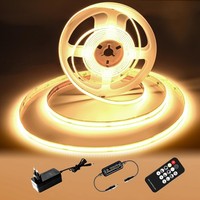 LED Streifen 2M Warmweiß 3000K 24V Dimmbar 8Mm Mit Fernbedienung FüR Dekoration