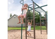 Lifetime 91028 Monkey Bar Adventure Swing Set - Earth Tone Colors